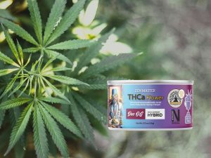 THCa Flower from CBD American Shaman